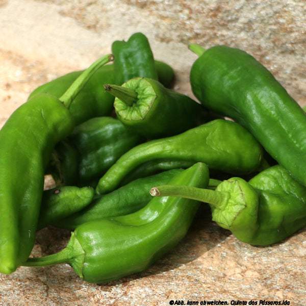 Bratpaprika / Pimento padrão, unidade - Image 4