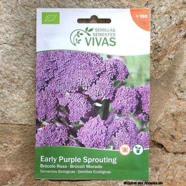 Brokkoli Lila, Early Purpe Sprouting Saatgut / Sementes de brócolos roxo, Bio, unidade