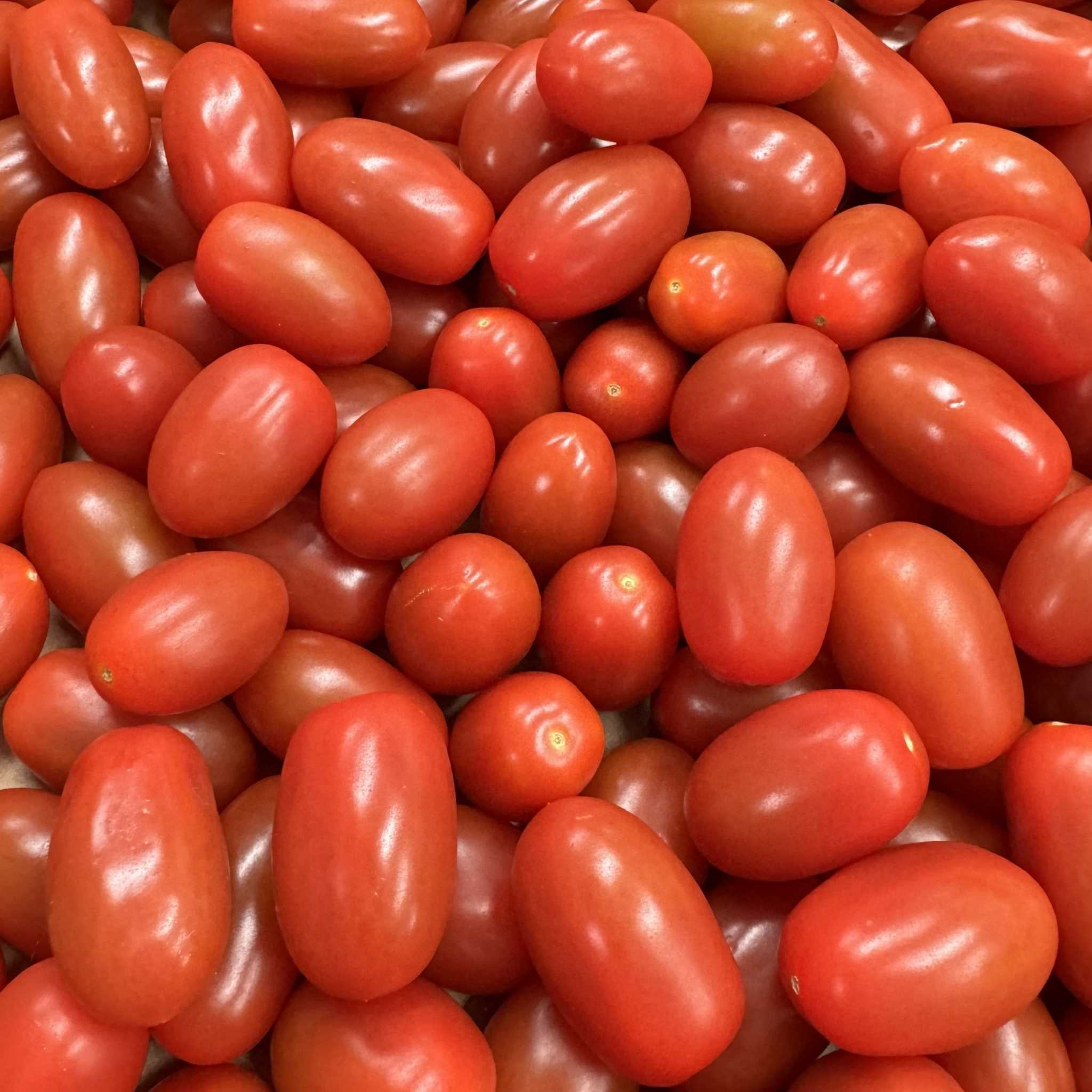 Cherry Tomaten Azura / Tomate azura, 300g