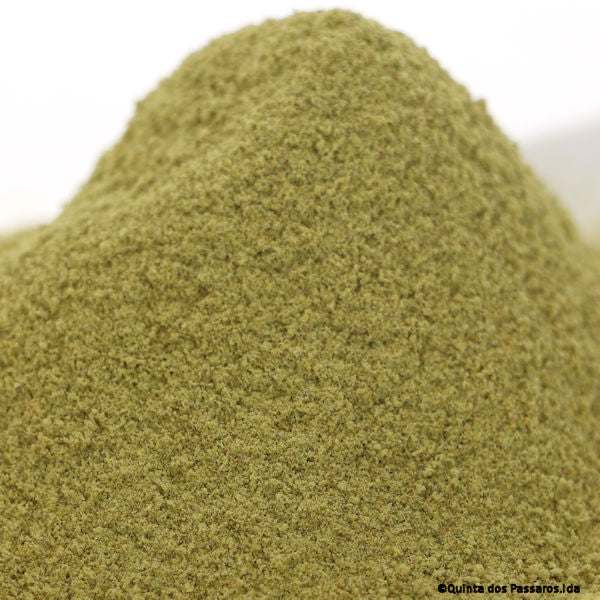 Chili Jalapeño grün, gemahlen / Pimenta Jalapeño verde em pó, 100g