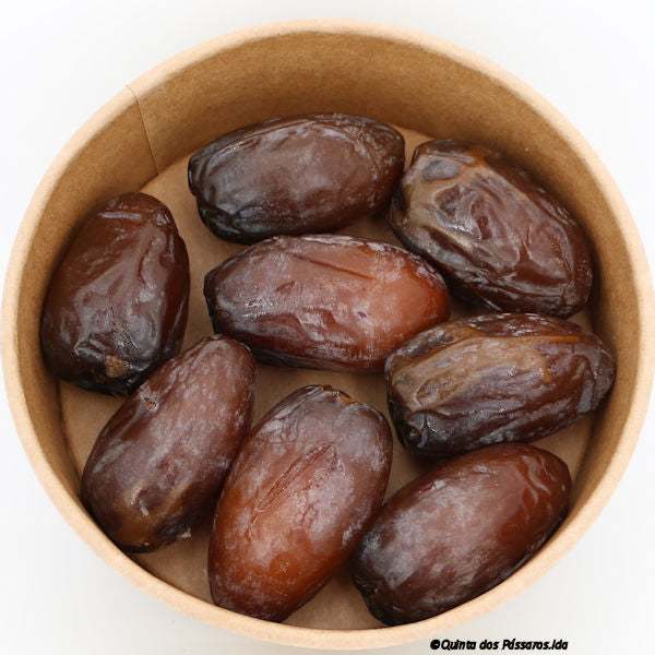 Datteln Medjool Bonbon / Tâmaras medjool Bonbon - Image 3