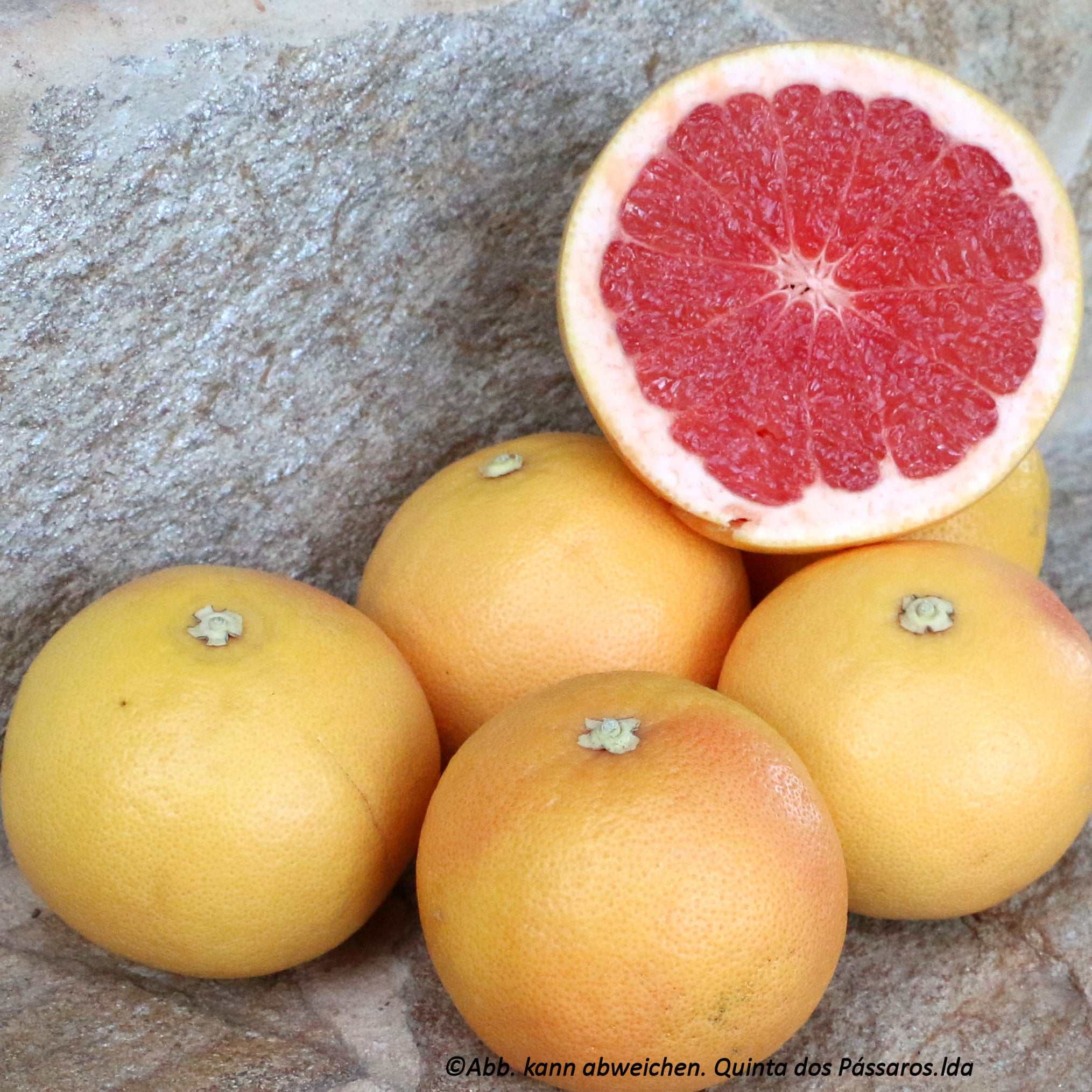 Grapefruit rose-rot / Toranja vermelha, Kg - Image 3