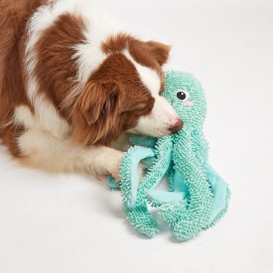 Grüner Oktopus – Robustes Hundespielzeug / Fofos Sealife Polvo Verde - Image 2