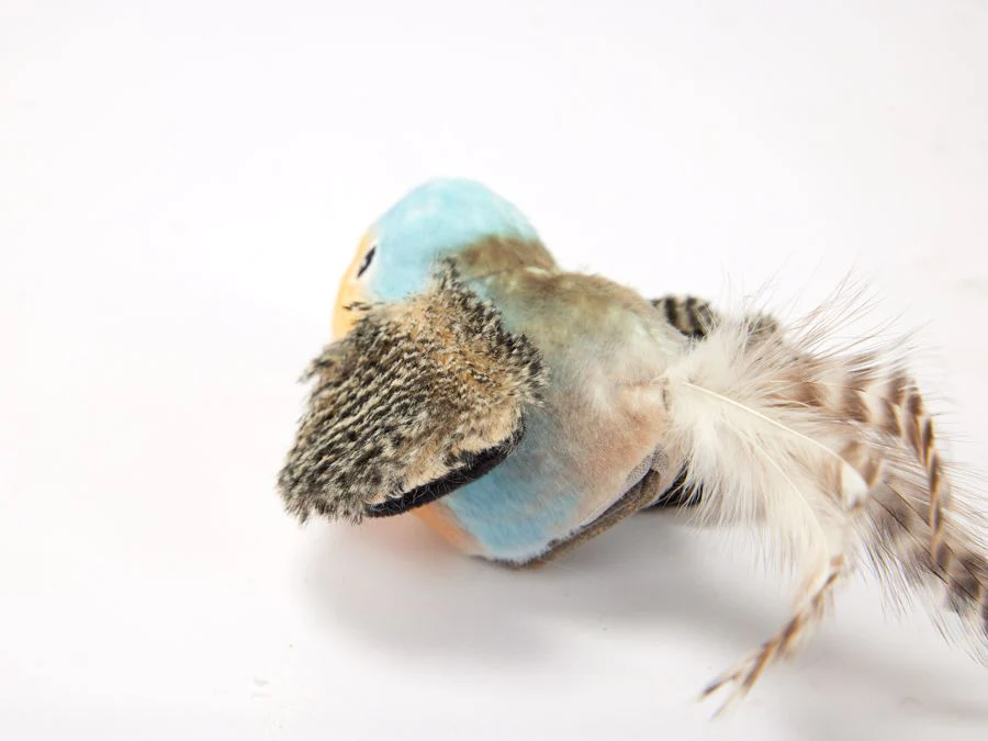 Katzenspielzeug blauer Vogel mit Katzenminze / Fofos Pássaro Azul com Penas - Image 3