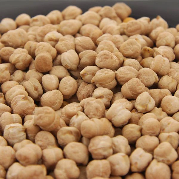Kichererbsen getrocknet / Grão de bico seco, 500g