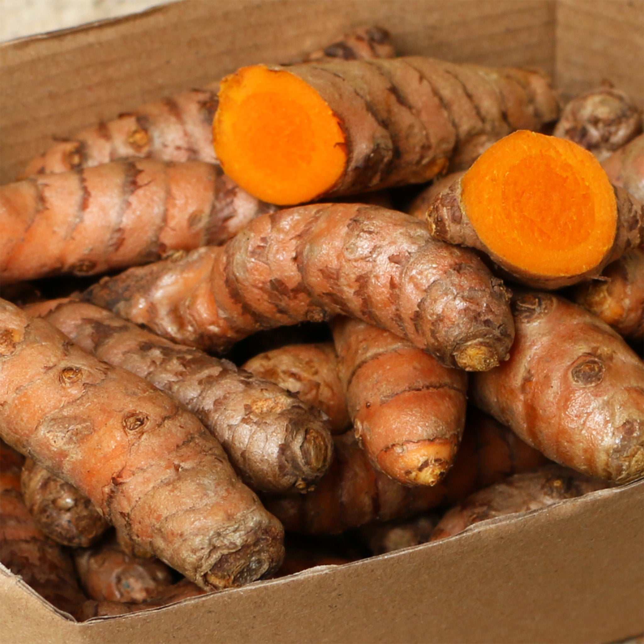 Kurkuma frisch / Curcuma - Image 3