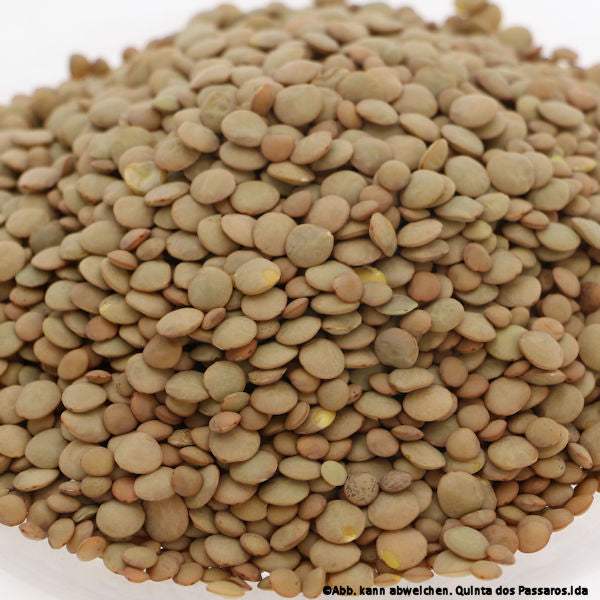 Linsen grün-braun / Lentilhas, 500g