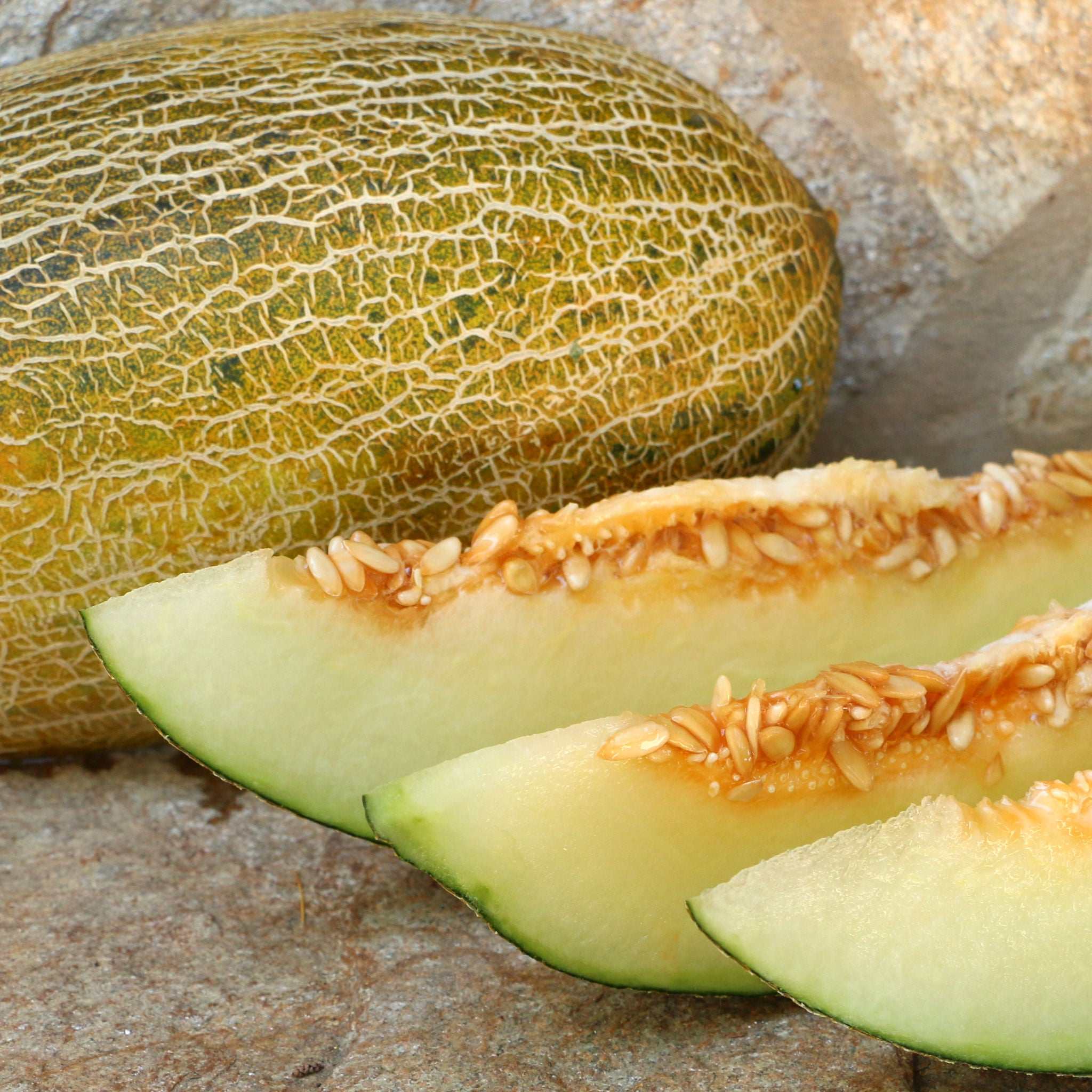 Melone / Melão pele de sapo
