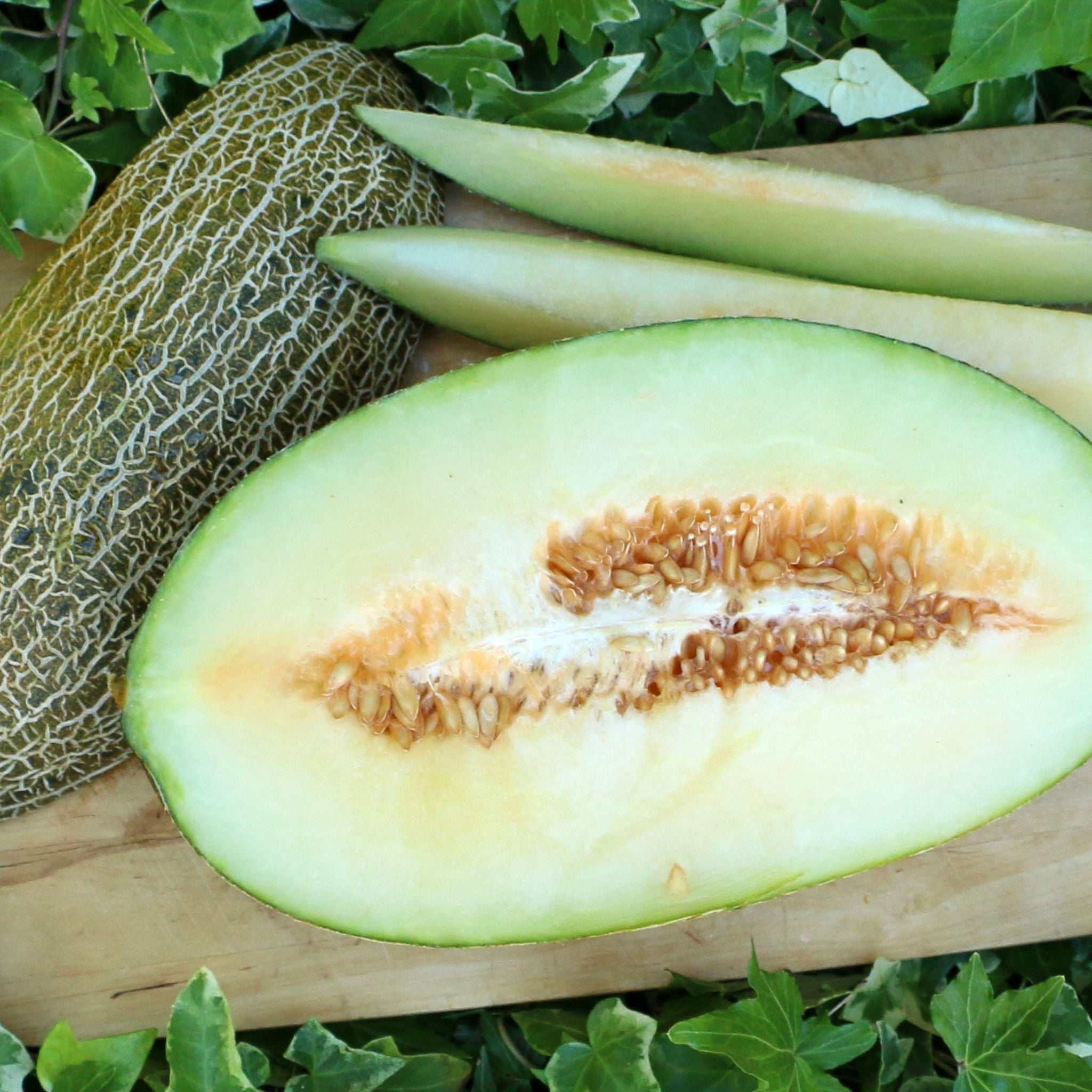 Melone / Melão pele de sapo - Image 3