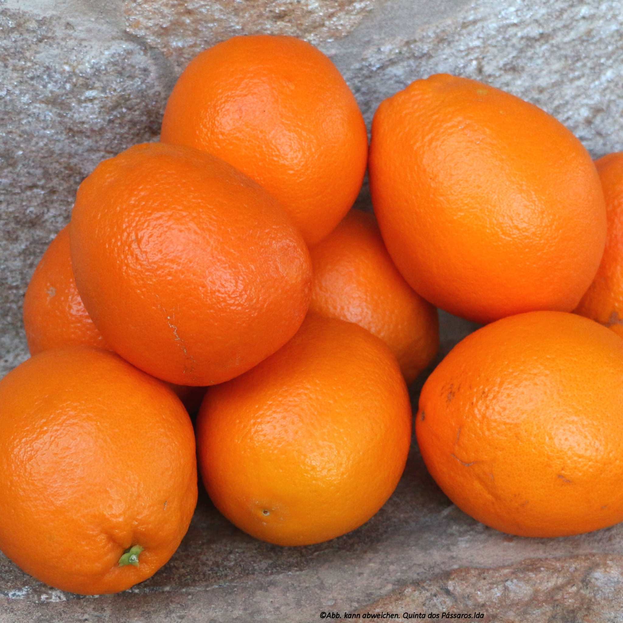 Navel Orangen / Laranja, Kg - Image 3