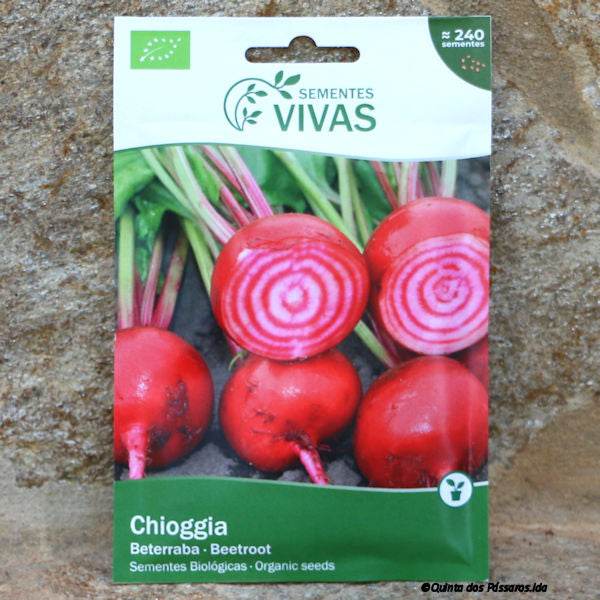 Rote Bete Chioggia Saatgut / Sementes de beterraba chioggia, Bio, unidade