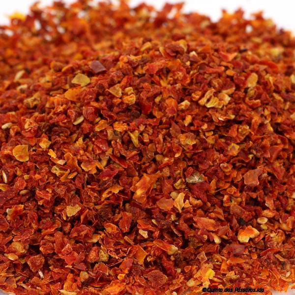 Tomaten geschnitten & getrocknet / Tomate corto e seco, 100g