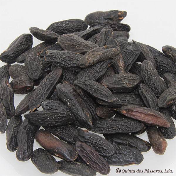 Tonkabohnen getrocknet / Feijão de Tonka, 50g