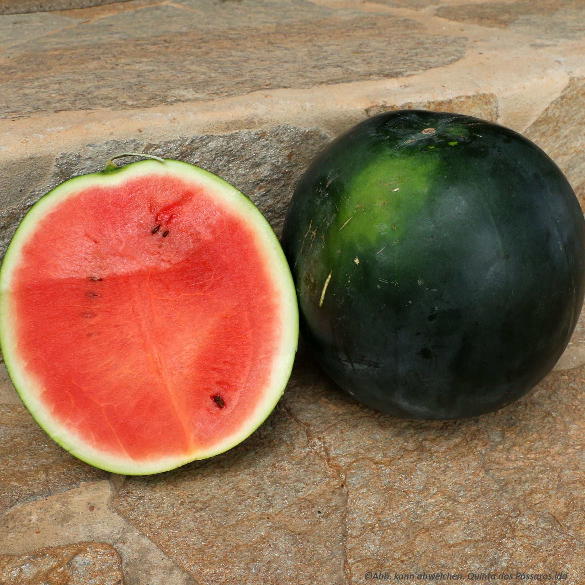 Wassermelone / Melancia, unidade
