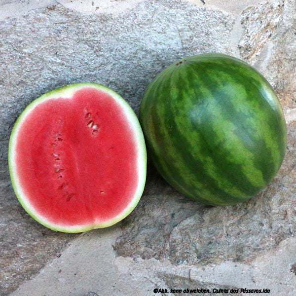 Wassermelone / Melancia, unidade - Image 2
