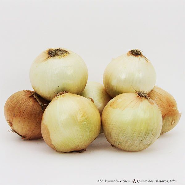 Zwiebeln hell / Cebola nova, Kg - Image 2