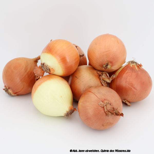 Zwiebeln hell / Cebola nova, Kg - Image 3
